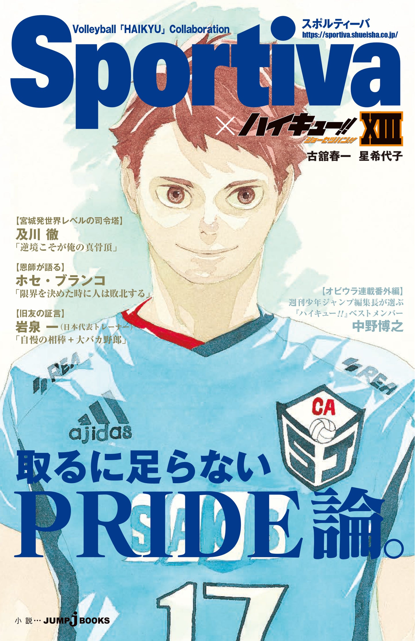 ハイキュー!! ショーセツバン!! 13