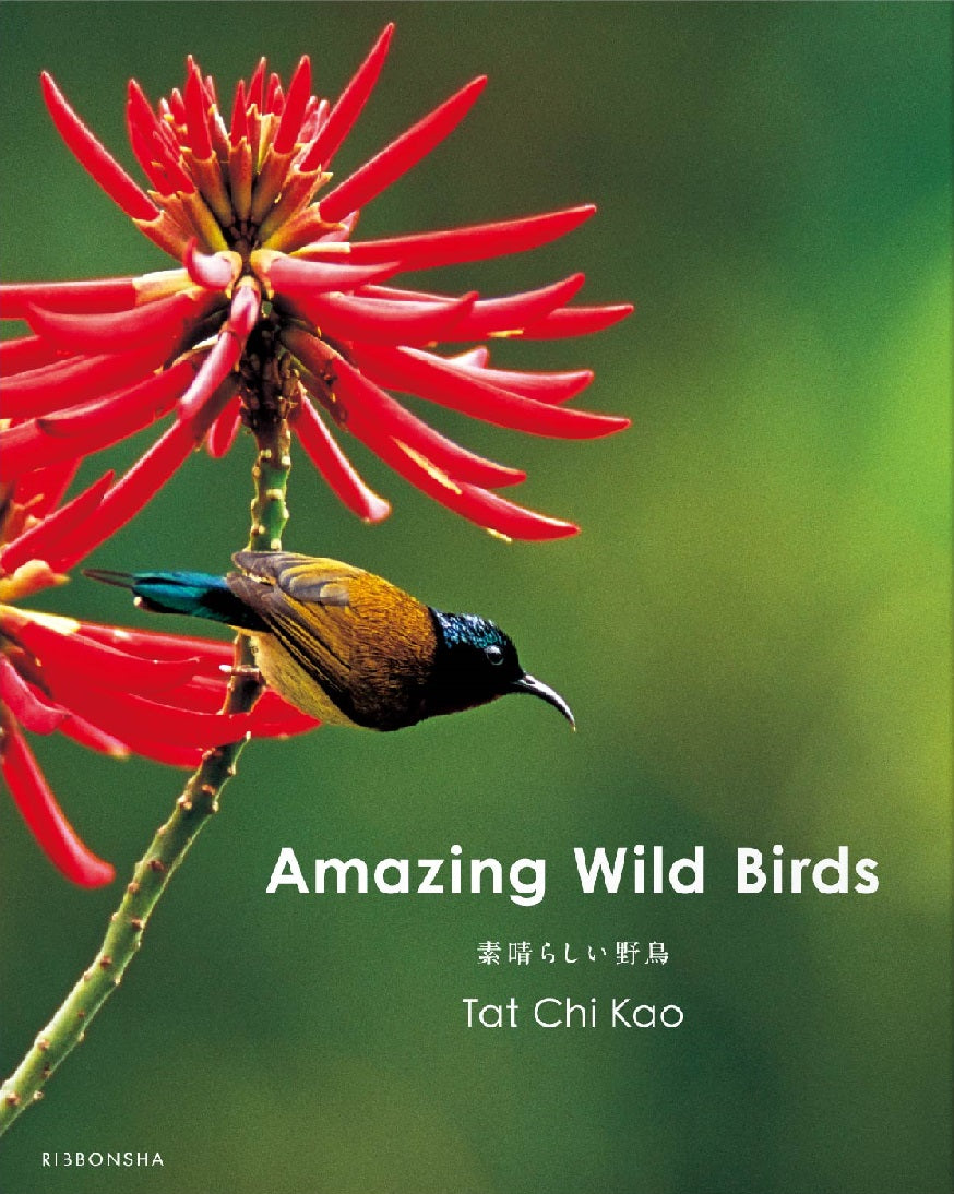 『Amazing Wild Birds 素晴らしい野鳥』　高 達志写真集