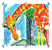 「SKETCH FROM THE ZOO」