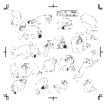 「SKETCH FROM THE ZOO」