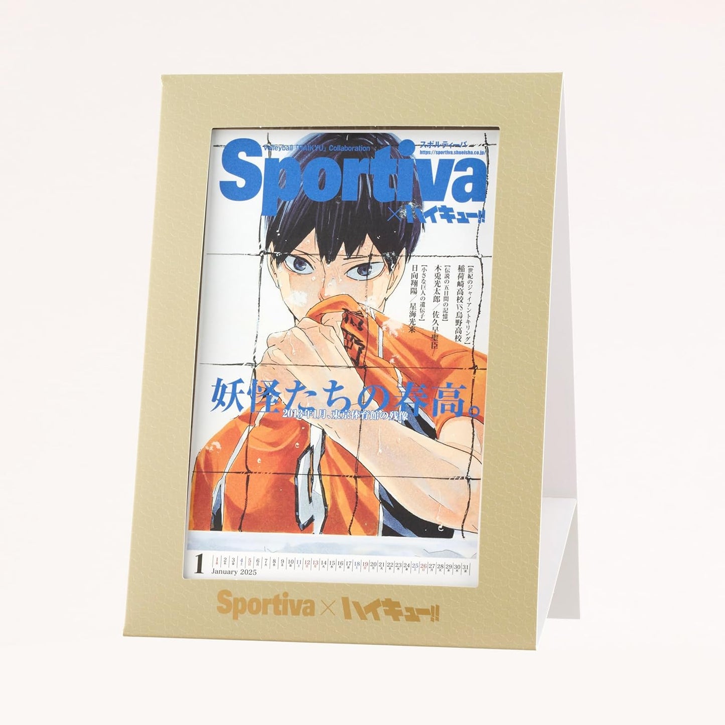 Sportiva　バレーボール男子日本代表特集号  Sportiva　Volleyball Japan Men's National Team Special Issue